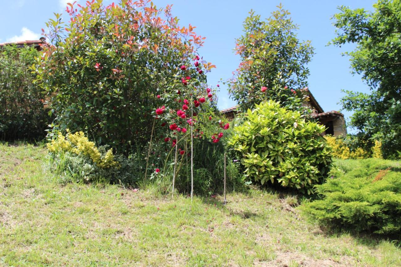 Villa El Refugio De Luena San Miguel de Luena Esterno foto